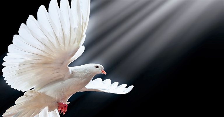 ROCZNICA PIERWSZEJ KOMUNII ŚWIĘTEJ